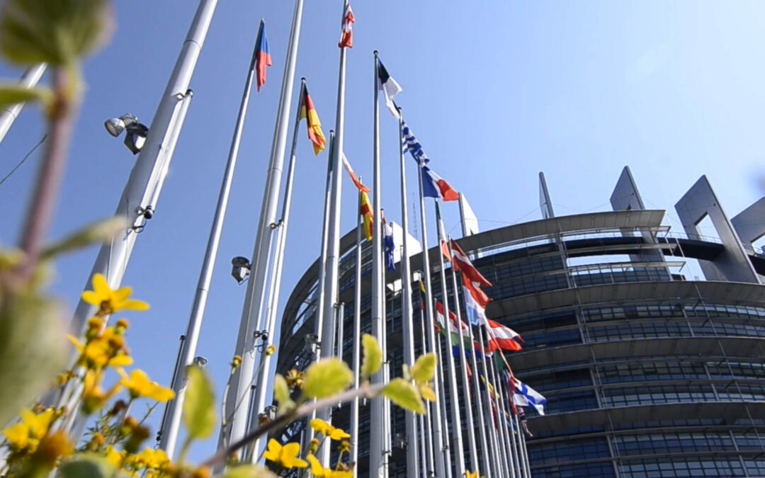 EU nations fail to close rift on gas prices as cold sets in